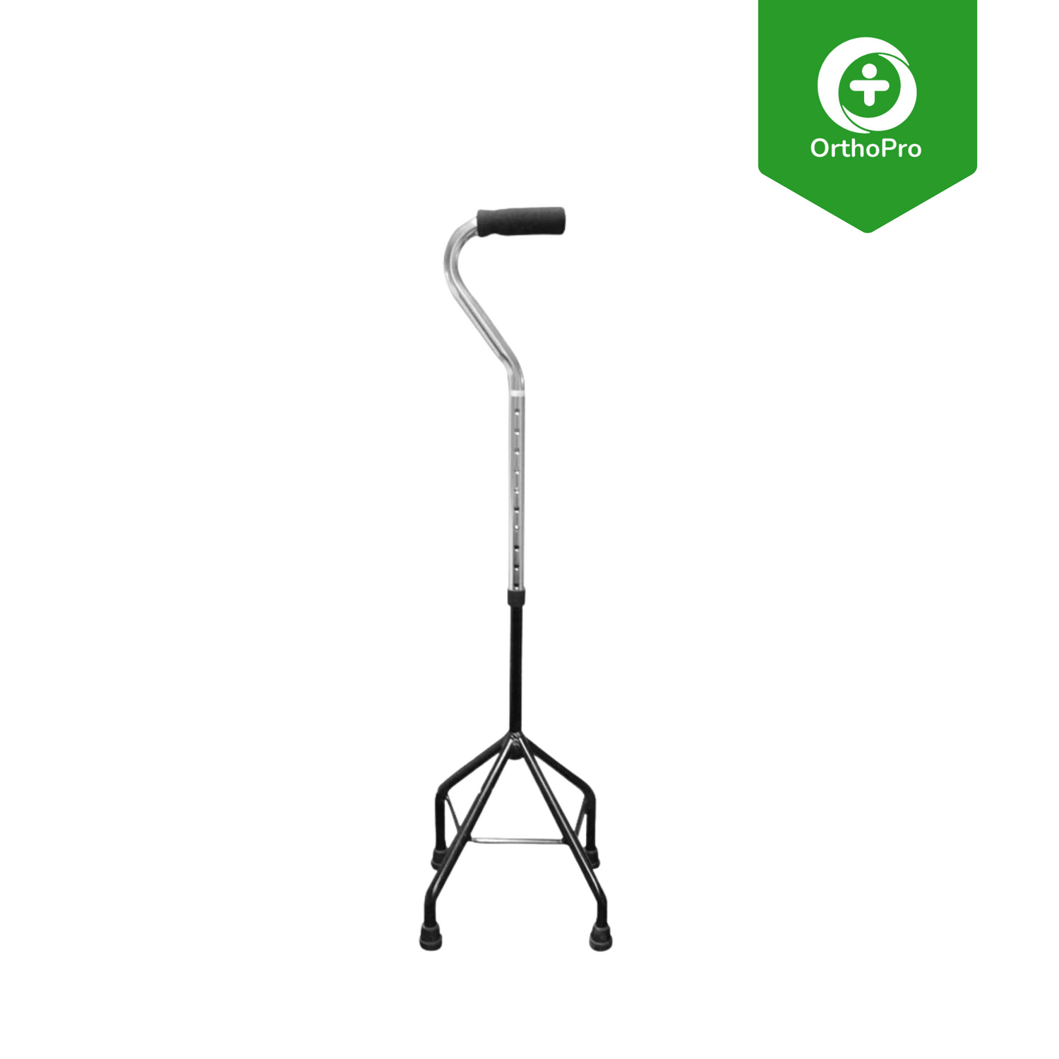 TRIPODI E QUADRIPODI