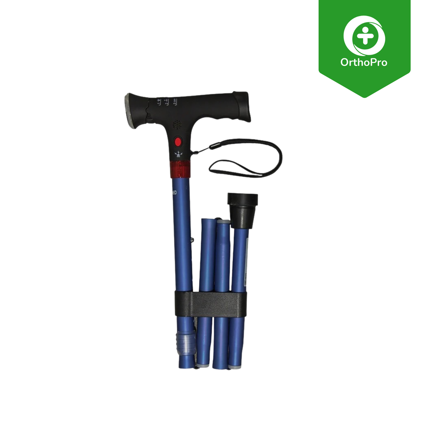 BASTONI DA PASSEGGIO