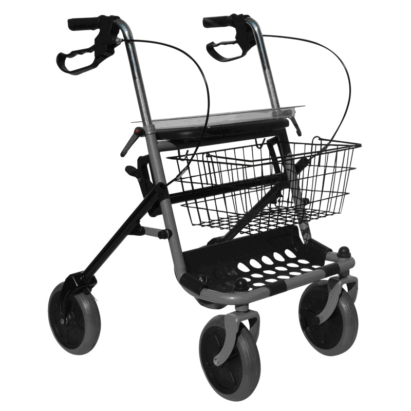 DEAMBULATORE ROLLATOR - 286i